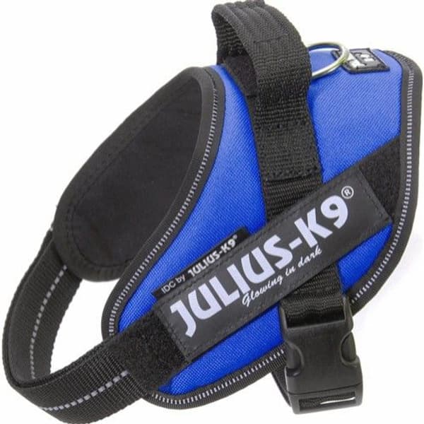 Julius-K9 IDC-Sele Mini (49-67 cm) Flera färger, view: 3