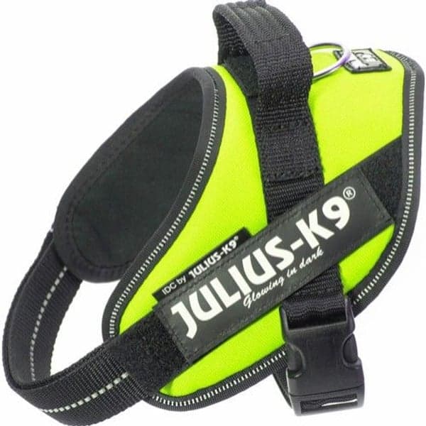 Julius-K9 IDC-Sele Mini (49-67 cm) Flera färger, view: 1