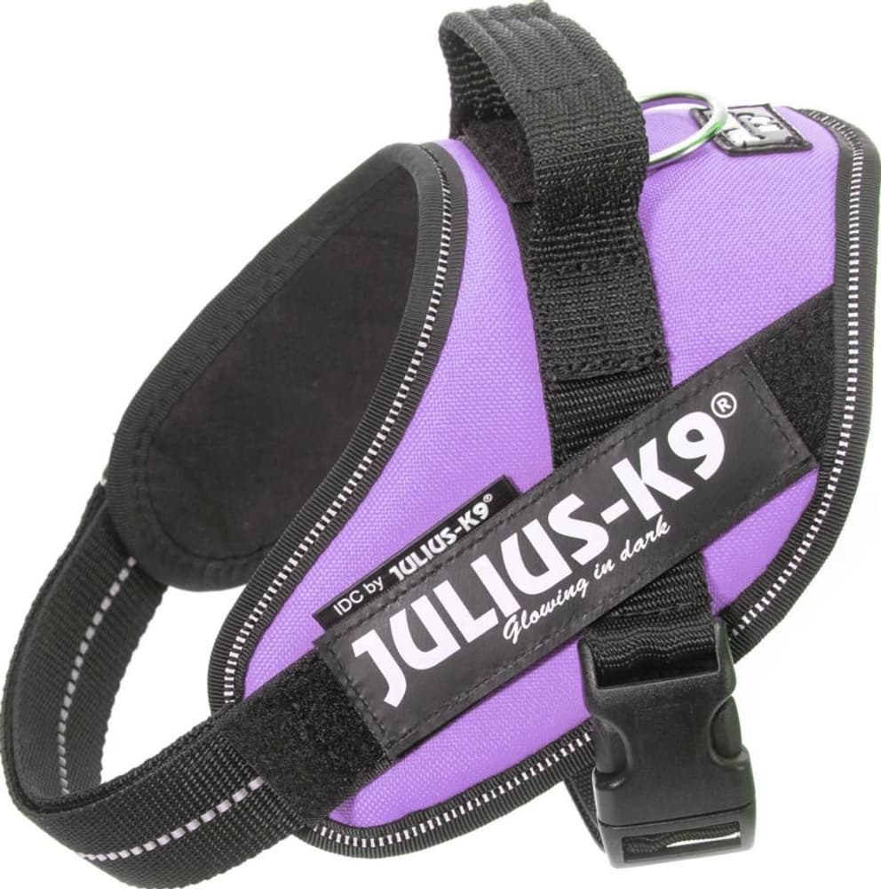 Julius-K9 IDC-Sele Mini (49-67 cm) Flera färger, view: 8