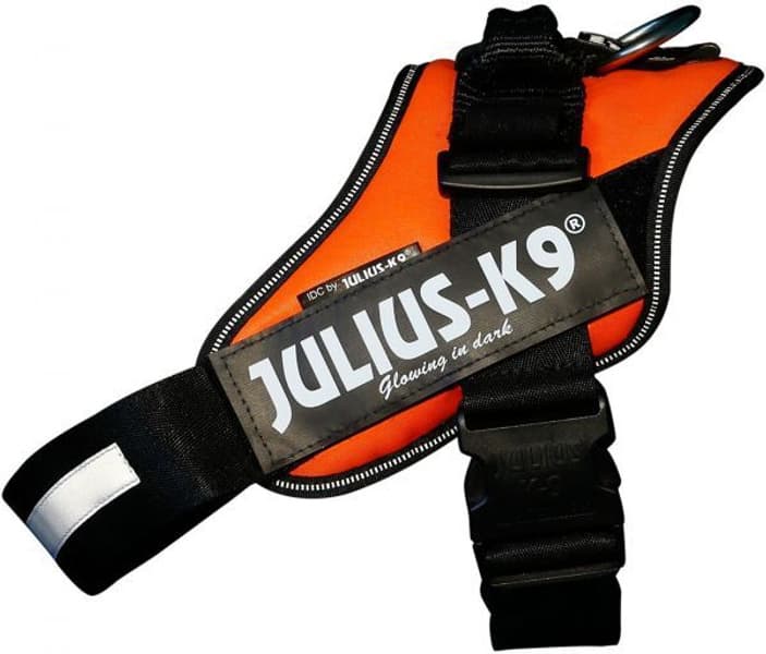 Julius-K9 IDC-Sele Baby 1 (29-36 cm) Flera färger, view: 5