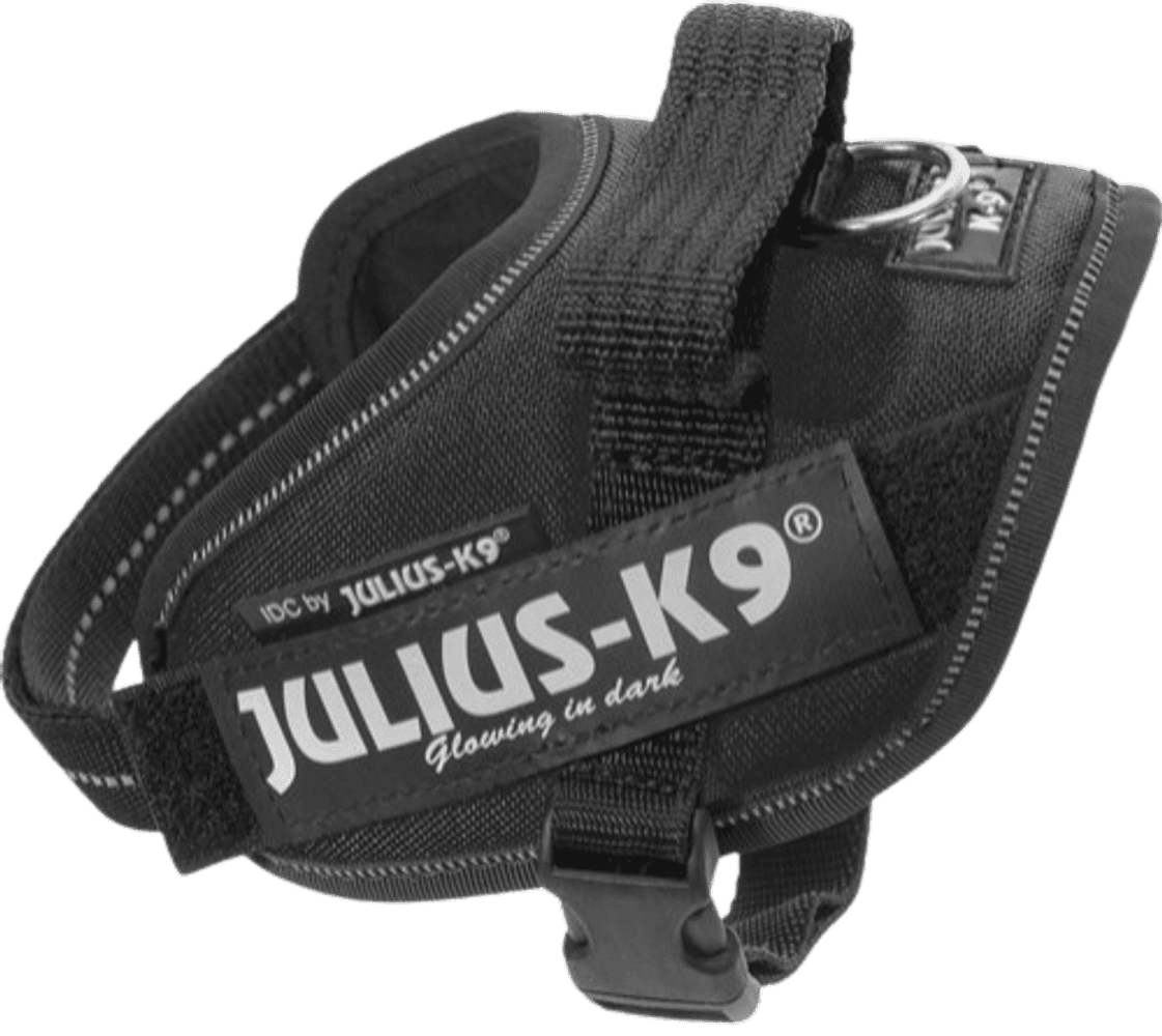 Julius-K9 IDC-Sele Mini-Mini (40-53 cm) Flera färger, view: 0