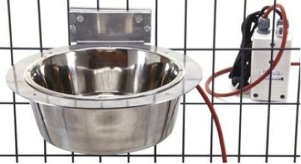 Heatable Dog Drinking Cup Inside Shelter, view: 0