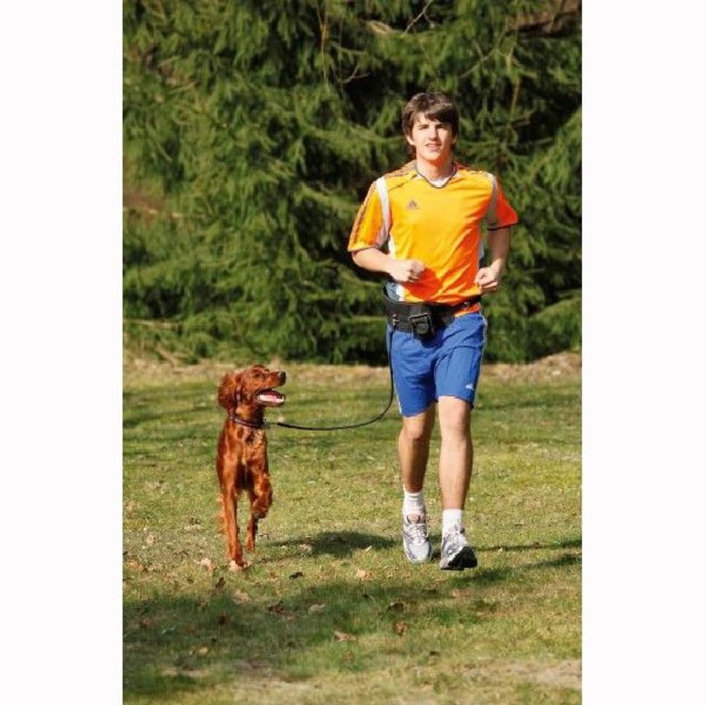 Doggy Jogger, view: 1
