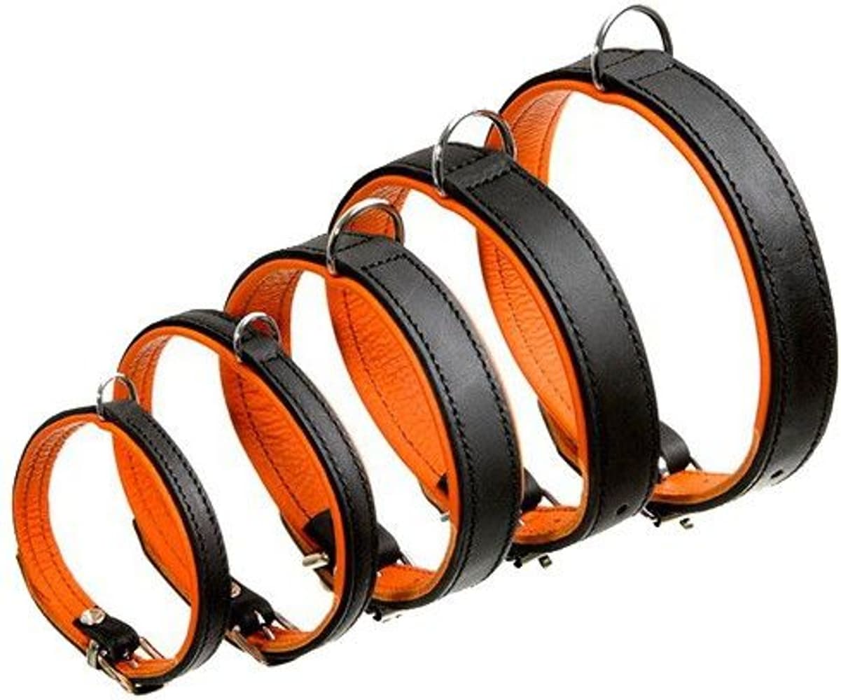 Rodeo Dog Collar S, view: 0