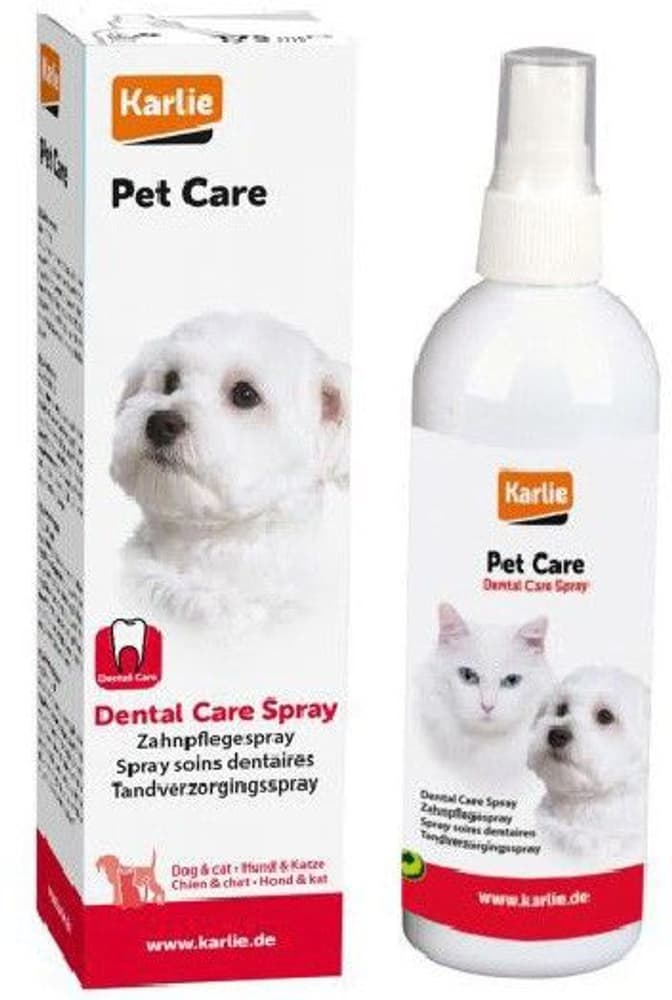 Dental Care Spray 175 ml, view: 0