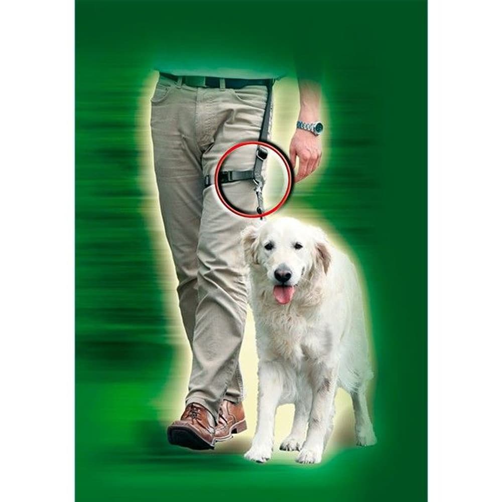 Benbälte för Koppel, view: 1