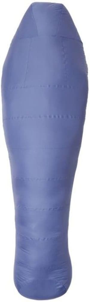 W's Lamina -1C° Regular Northern Blue, view: 2