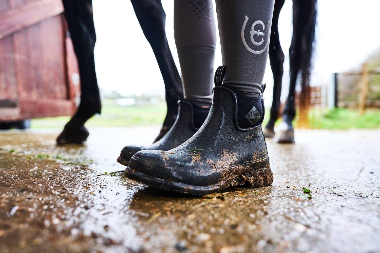 Wear Jodhpur Black, view: 4