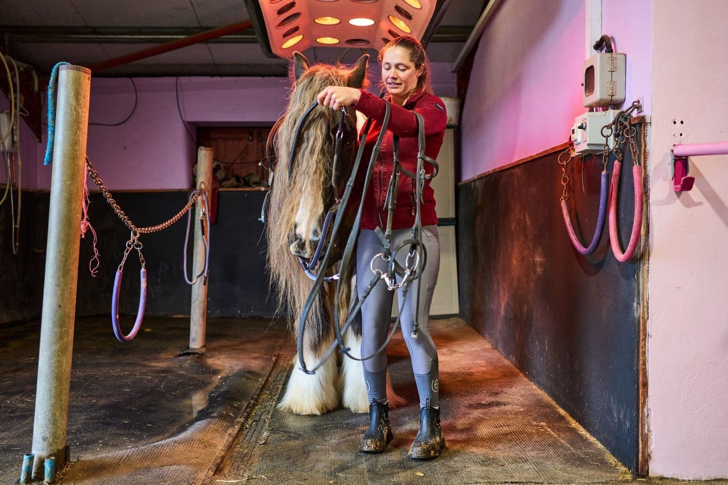 Wear Jodhpur Black, view: 5