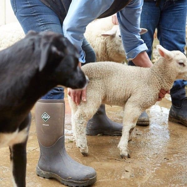 Arctic Pro -50°C Tan/Bark, view: 2