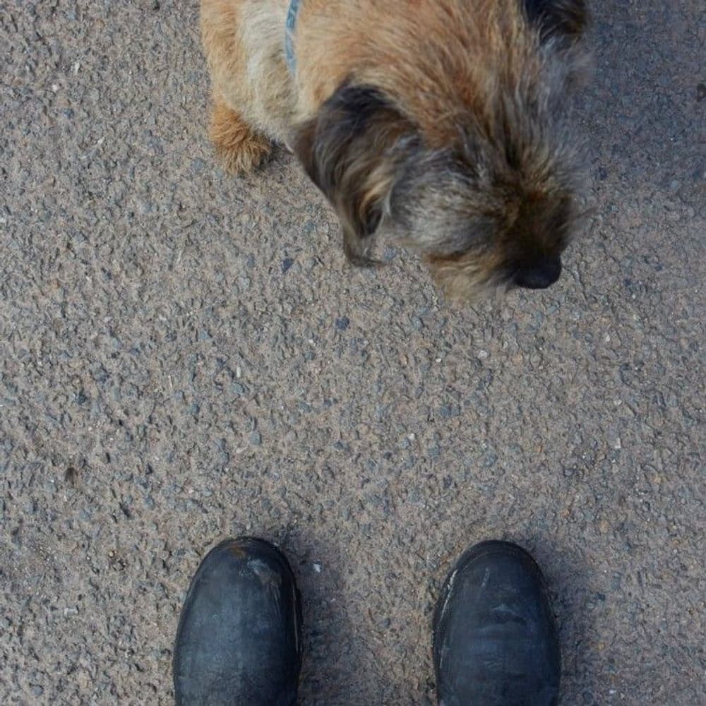 Excursion Ankle Black, view: 7