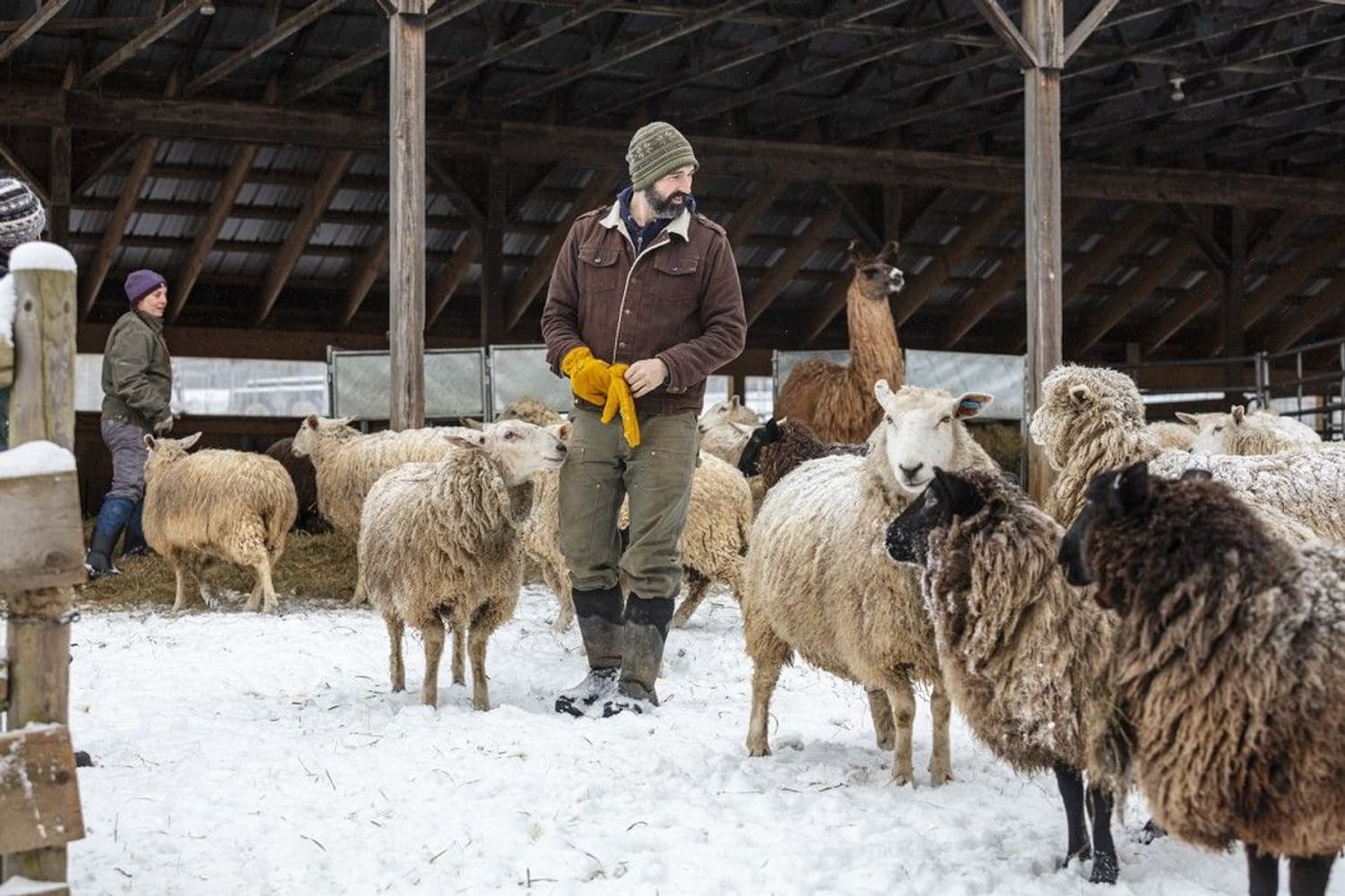 Arctic Ice AGAT High Black, view: 7