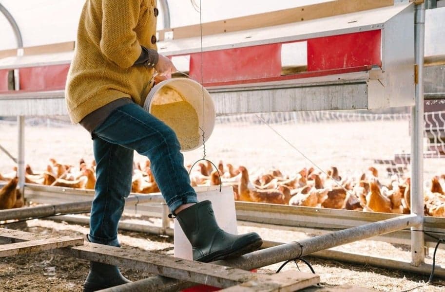 Originals Pull On Mid Black, view: 7