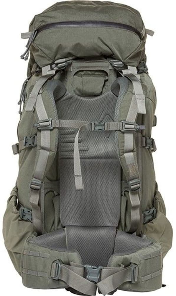 Marshall 105 Foliage, view: 1