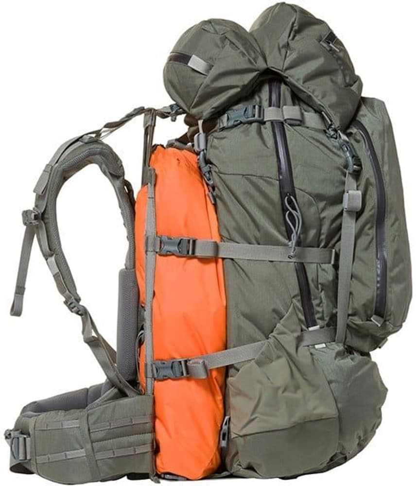 Marshall 105 Foliage, view: 3