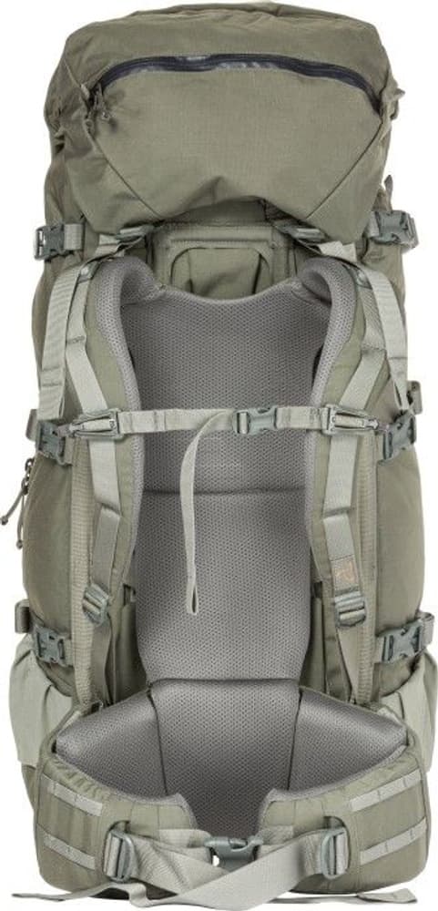 Beartooth 80 Foliage, view: 1