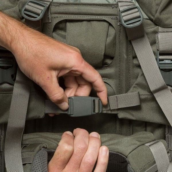 M's Metcalf 71 Foliage, view: 6