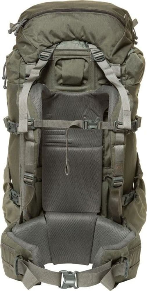 M's Metcalf 71 Foliage, view: 2