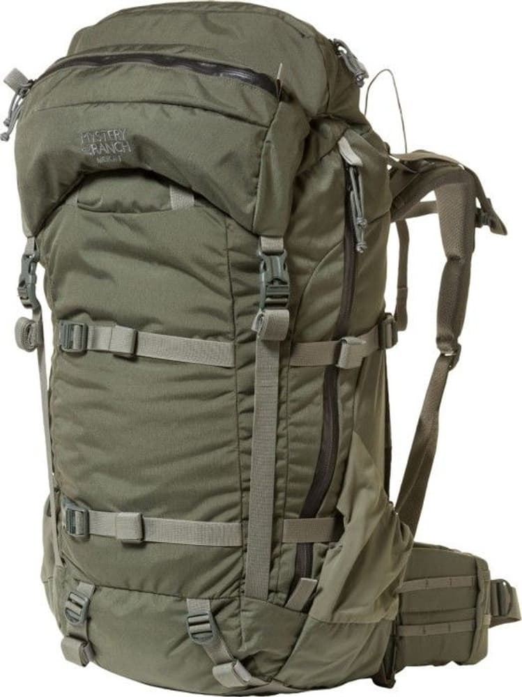 M's Metcalf 71 Foliage, view: 0