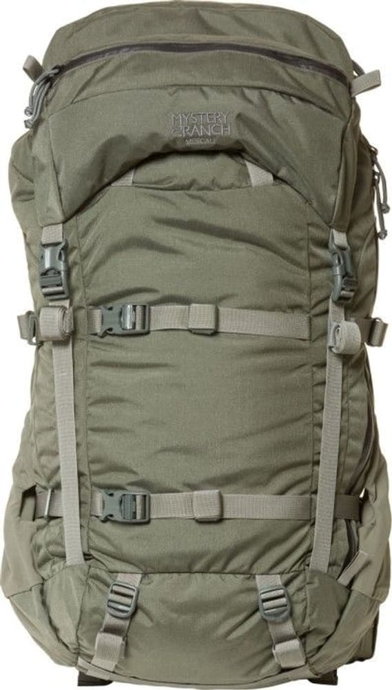 W's Metcalf 71 Foliage, view: 1