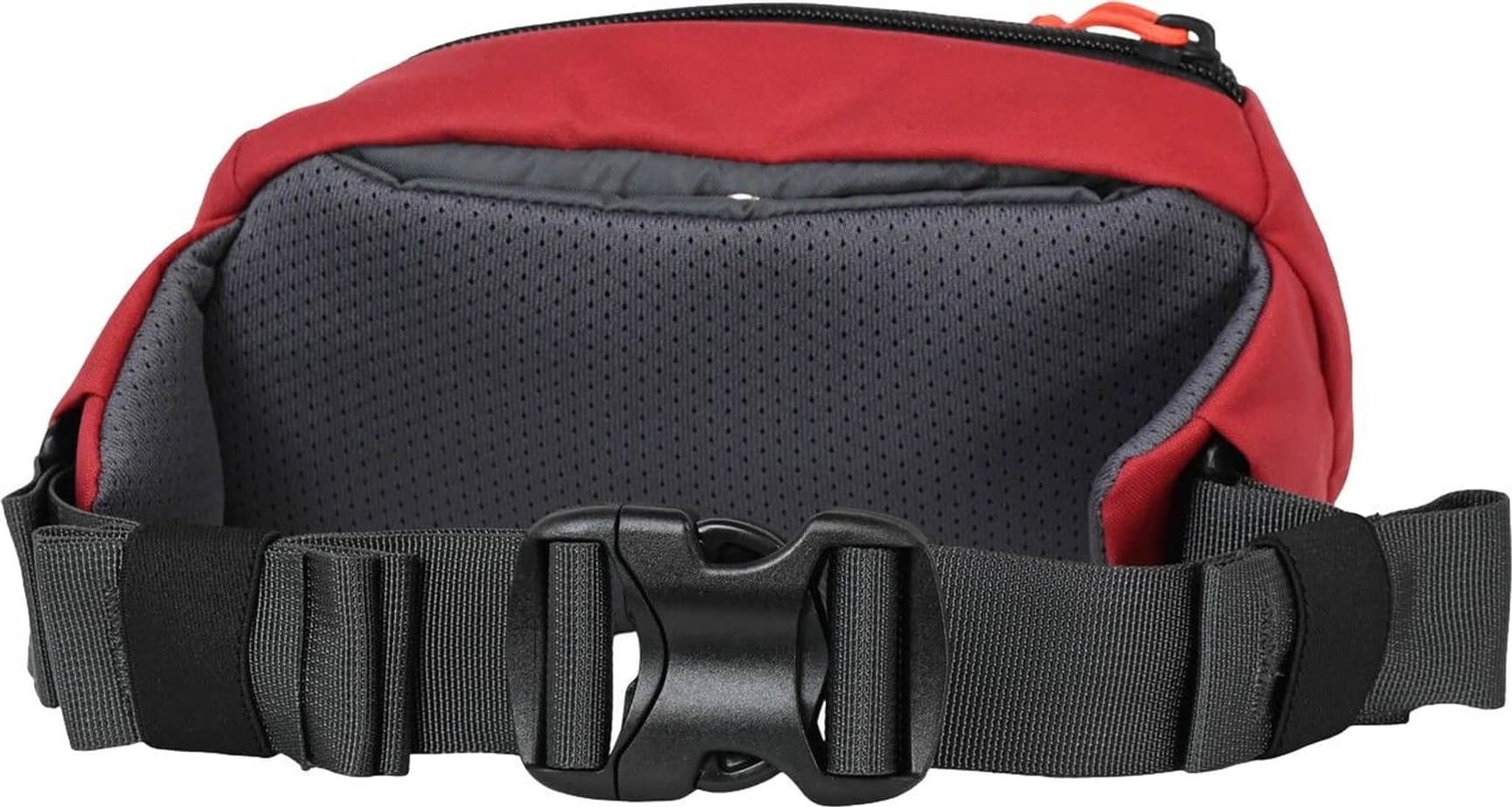 Forager Hip Pack 2.5 Garnet, view: 1