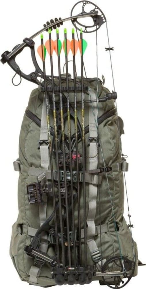 Pintler 41 Foliage, view: 3