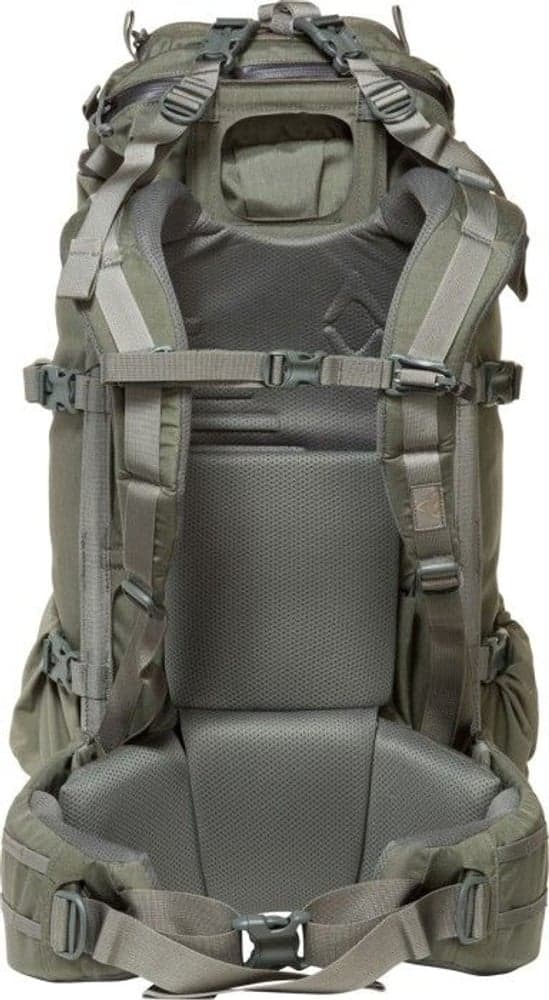 Pintler 41 Foliage, view: 1