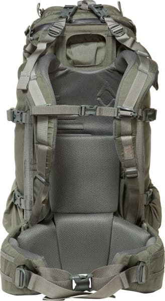 Pintler 41 Foliage, view: 1