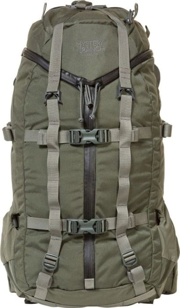 Pintler 41 Foliage, view: 2