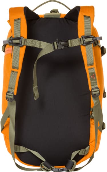 Skyline 23 Tiger, view: 3