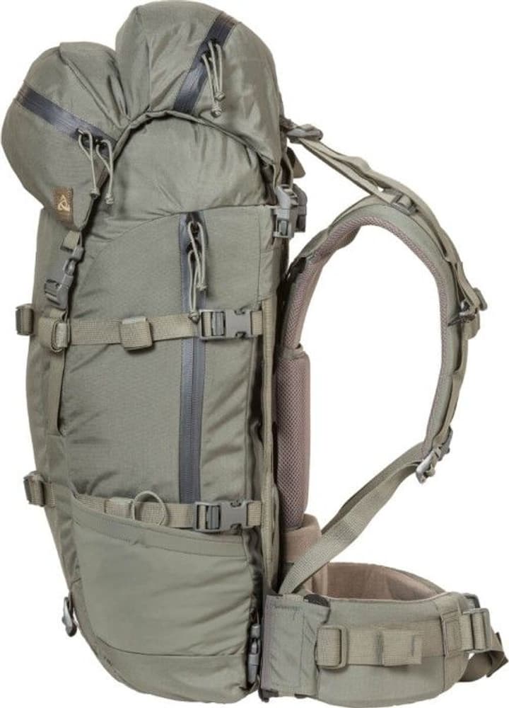 Metcalf 71L Foliage, view: 2