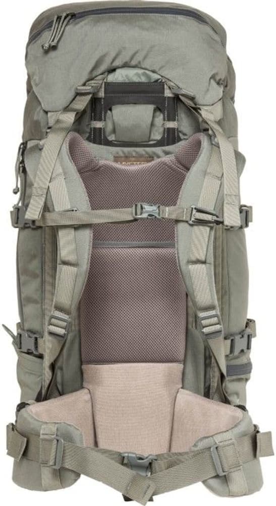 Metcalf 71L Foliage, view: 1