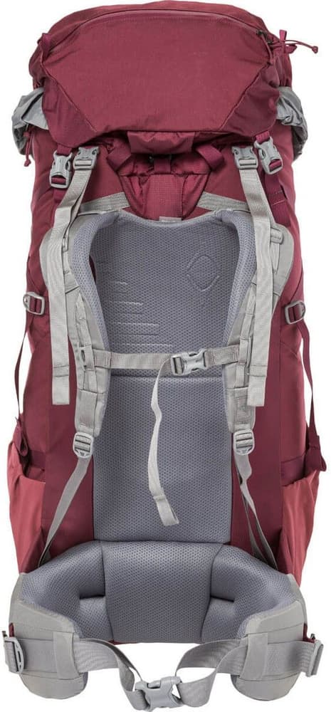 W's Stein 65 Henna, view: 5