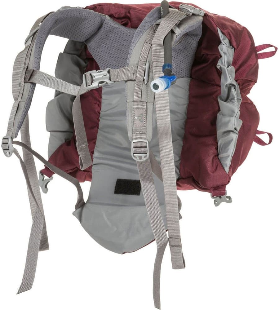 W's Stein 65 Henna, view: 7