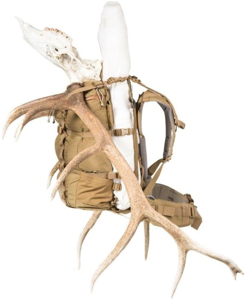 Pintler 41L Foliage, view: 3