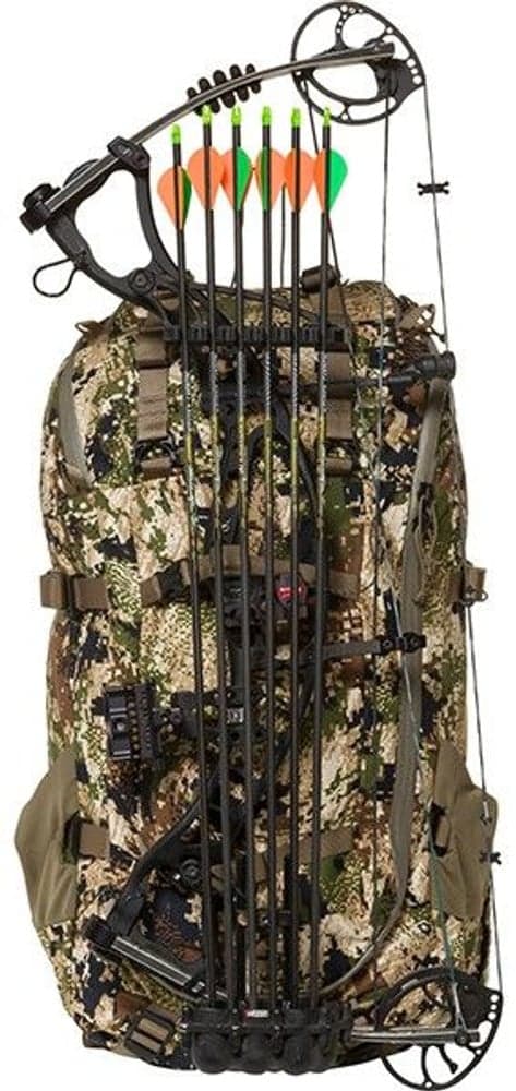 Sawtooth 45 Foilage, view: 2