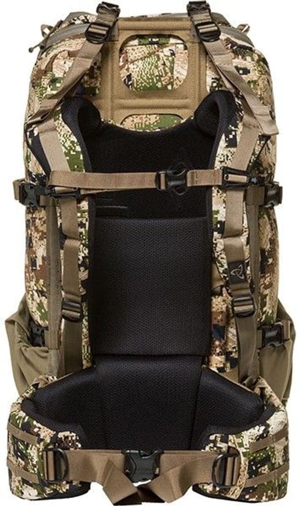 Sawtooth 45 Foilage, view: 1