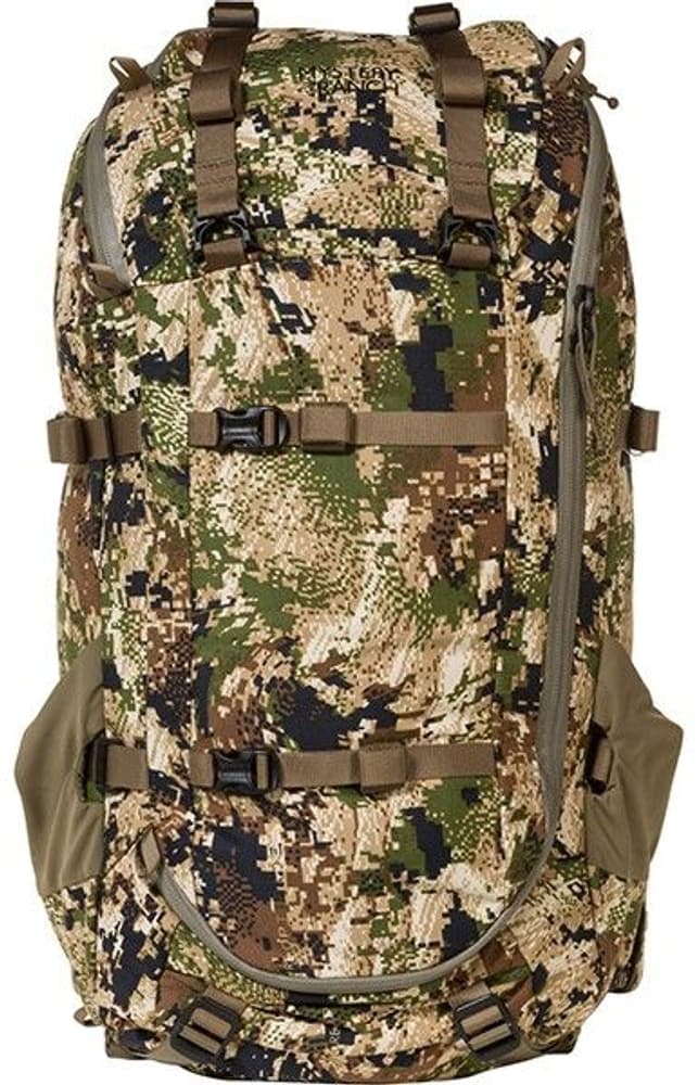 Sawtooth 45 Foilage, view: 3