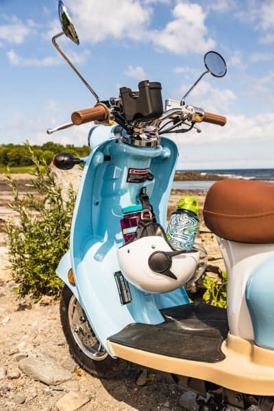 Bottle 1 l Wide Mouth Sustain Trout Green, view: 2