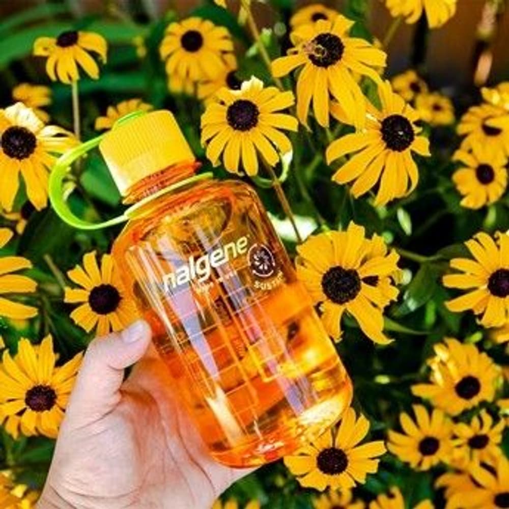 Bottle 0,5 l Narrow Mouth Sustain Melon Ball, view: 2