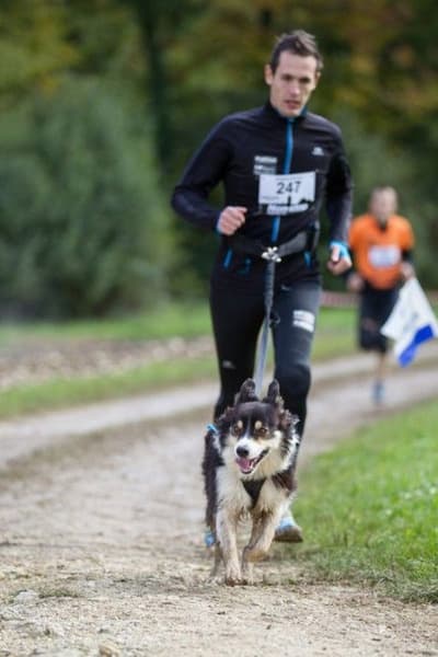 Tolklina 2 m, view: 4