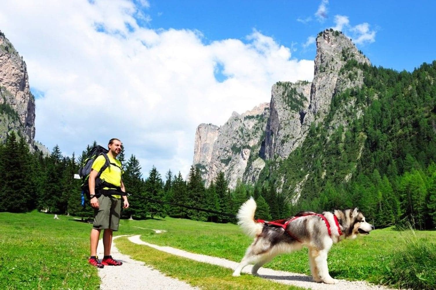 Tolklina 2 m, view: 3