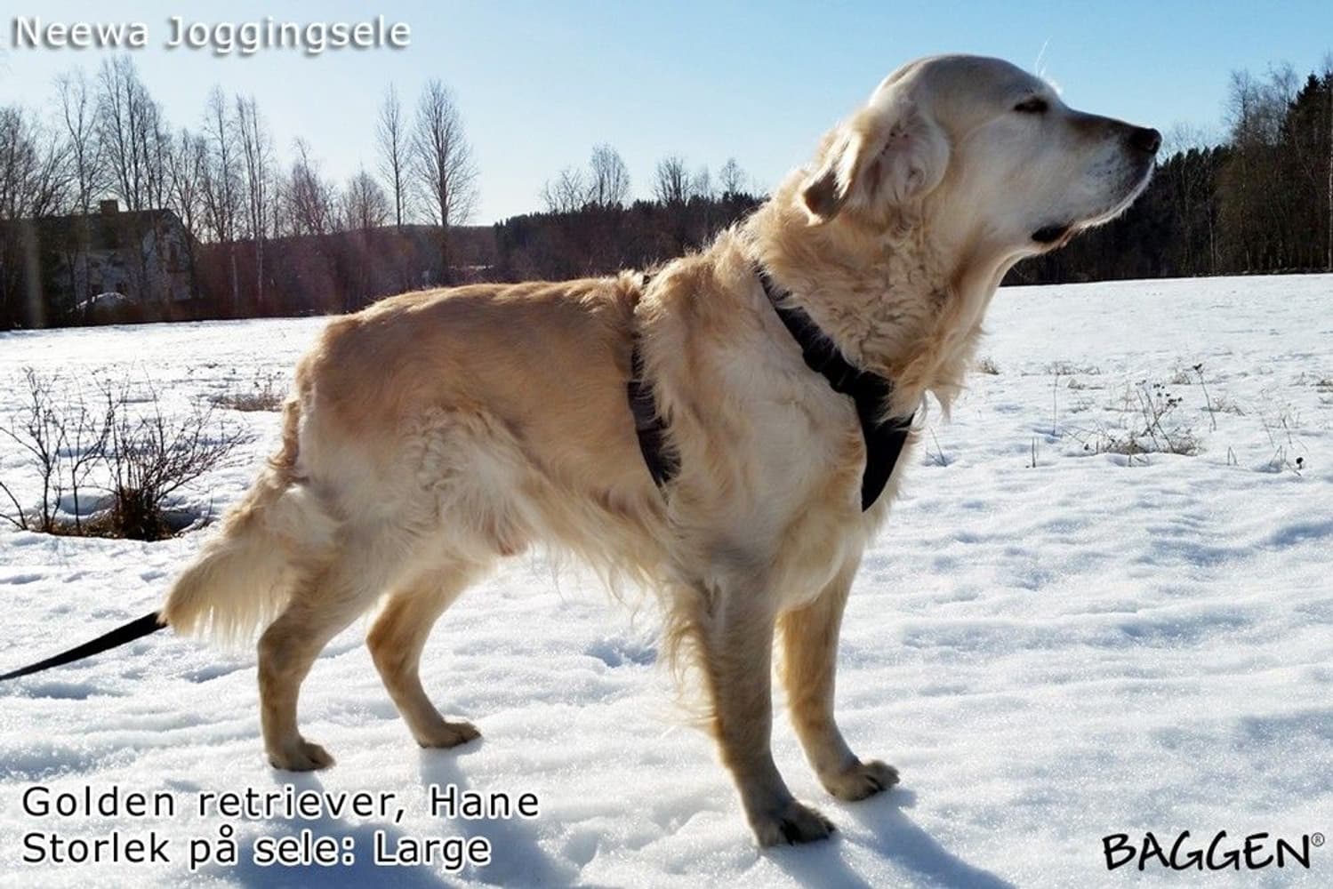 Joggingsele Svart, view: 3