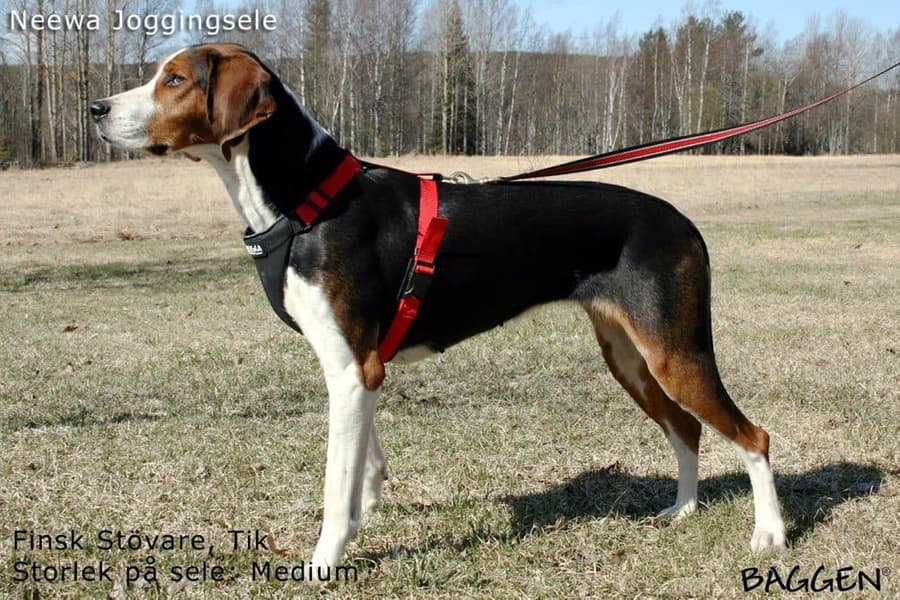 Joggingsele Röd, view: 1