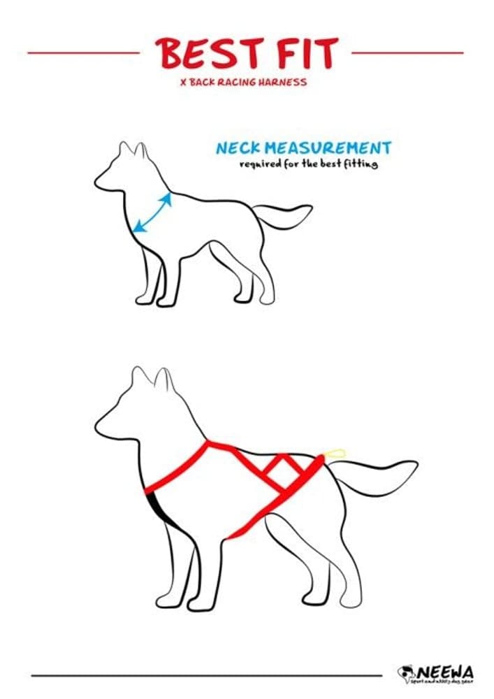 Sled Dog X-Back Blå, view: 4