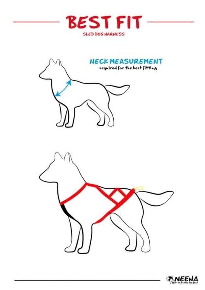 Sled Dog X-Back Röd, view: 2