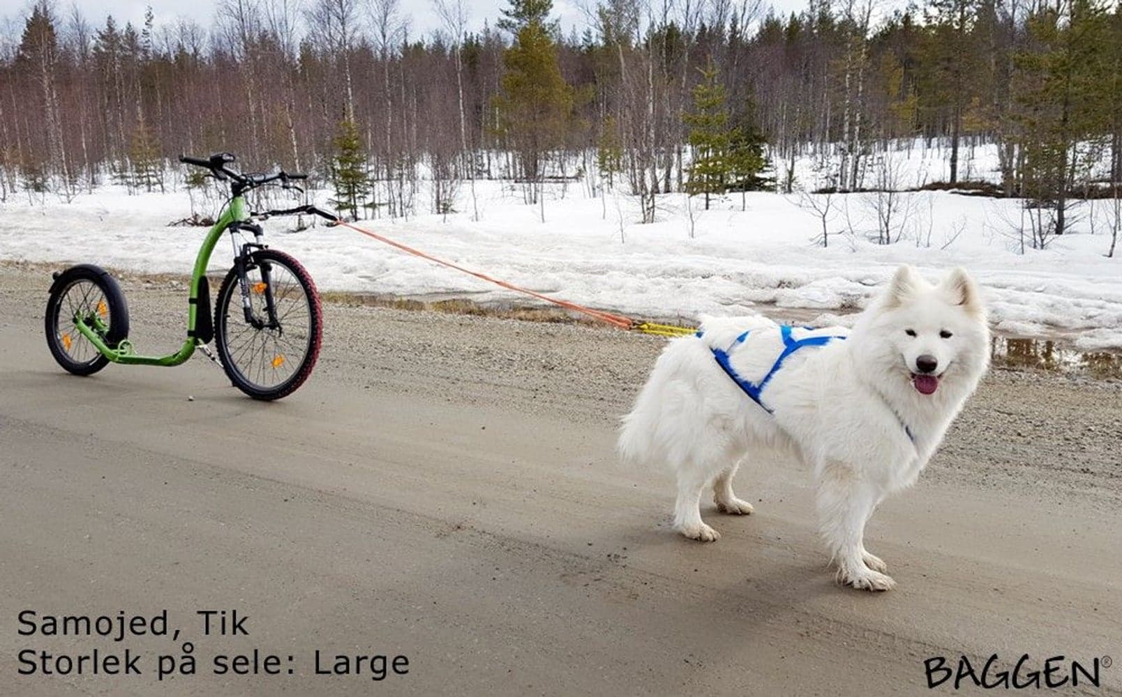 Sled Pro Dragsele Blå, view: 1