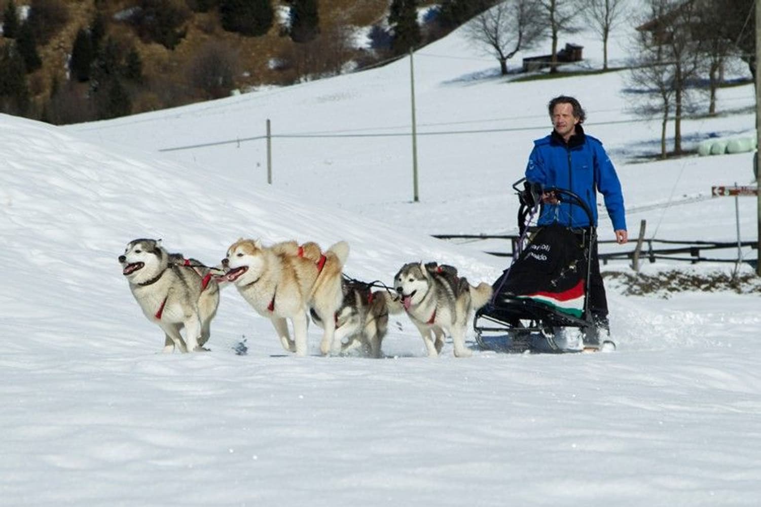 Sled Pro Dragsele Röd, view: 5