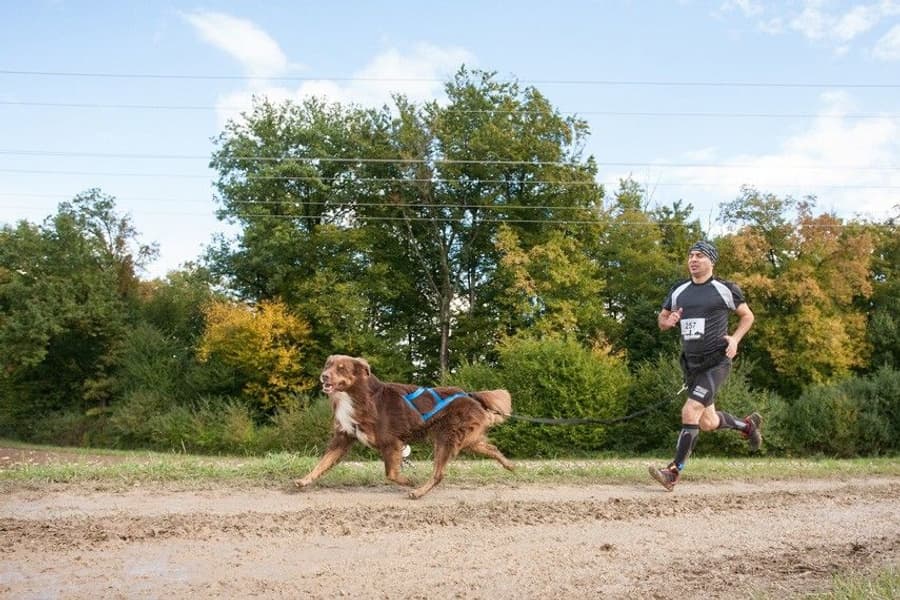 Sled Pro Dragsele Blå, view: 3