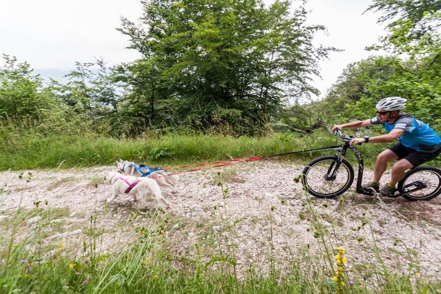 Sled Pro Dragsele Röd, view: 2